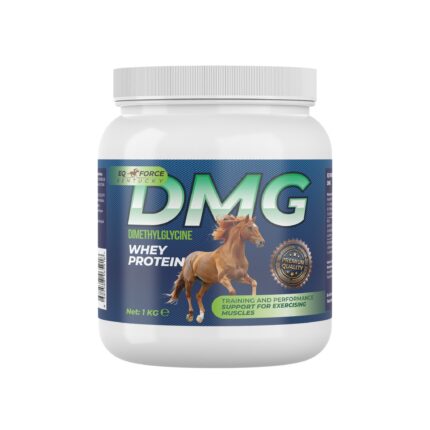 DMG (1 Kg)